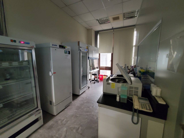 內科金矽谷,台北市內湖區陽光街