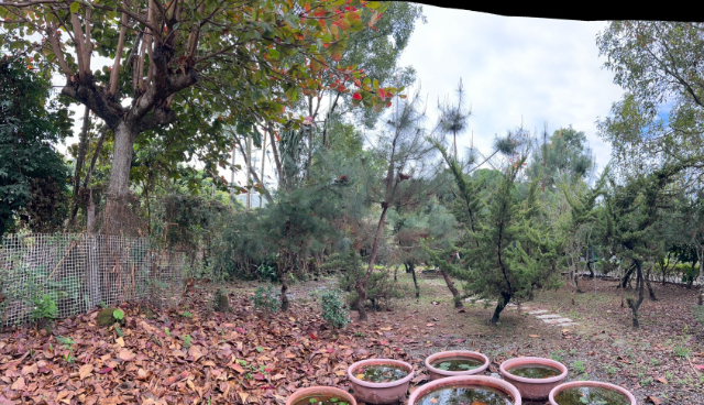 竹崎花果園透天,嘉義縣竹崎鄉龍山村