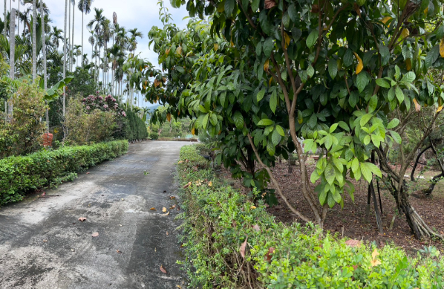 竹崎花果園透天,嘉義縣竹崎鄉龍山村