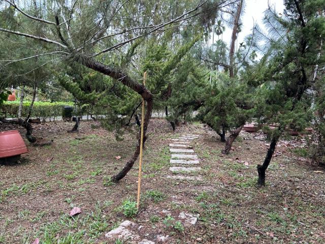 竹崎花果園透天,嘉義縣竹崎鄉龍山村