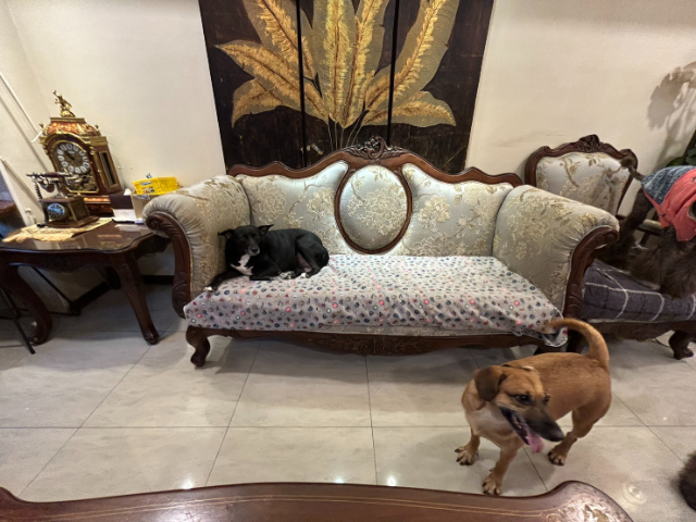 光信仁愛綠園華廈,台北市大安區延吉街