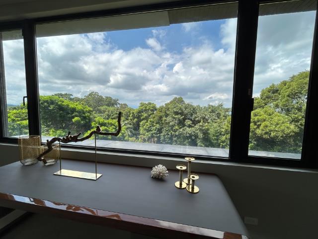 陽明山全新電梯別墅,台北市士林區新安路