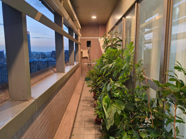 紅樹林安泰登峰企業廠辦,新北市淡水區中正東路二段