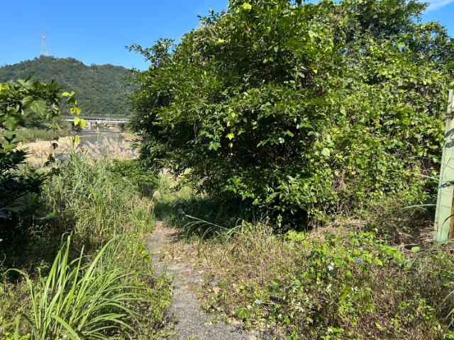 雙溪臨路一般農業地,新北市雙溪區魚行段