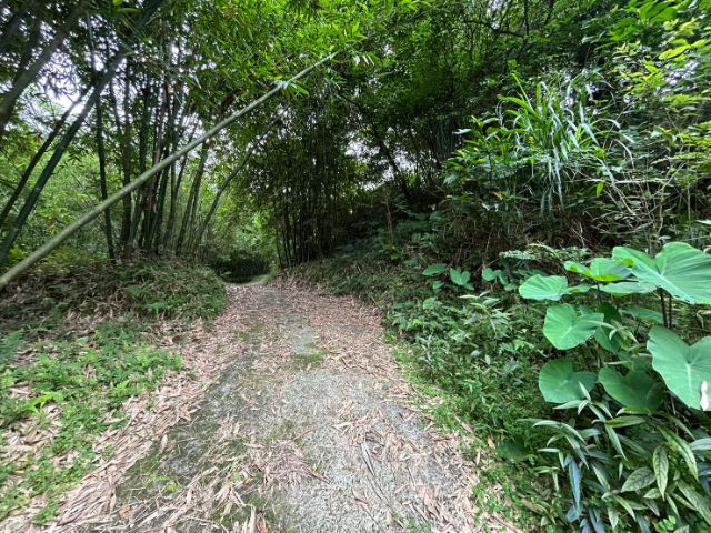 瑞芳乙種建地,新北市瑞芳區東和路