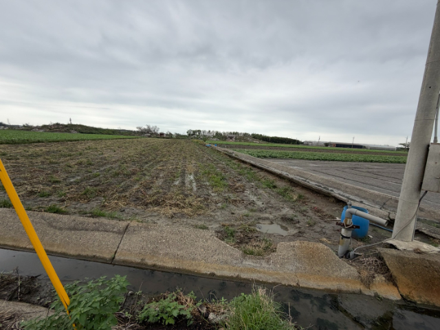 水林特農臨路,雲林縣水林鄉灣西段