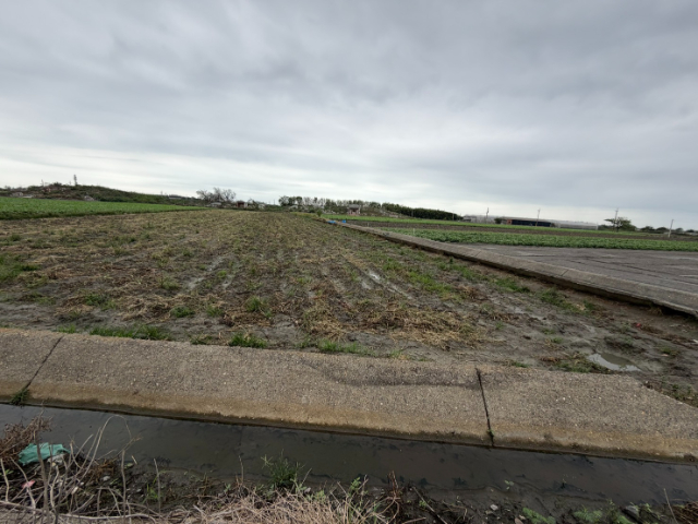 水林特農臨路,雲林縣水林鄉灣西段