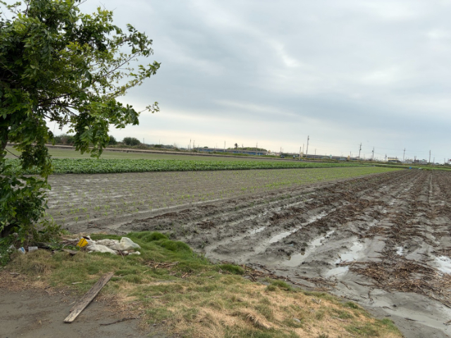 水林特農臨路,雲林縣水林鄉灣西段
