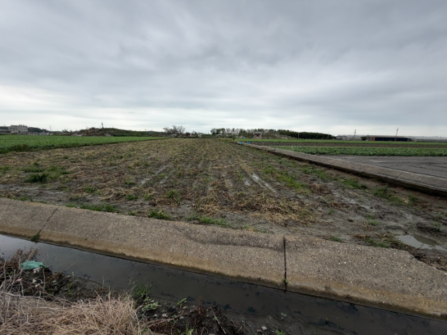 水林特農臨路,雲林縣水林鄉灣西段