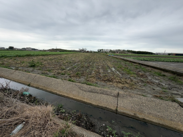 水林特農臨路,雲林縣水林鄉灣西段